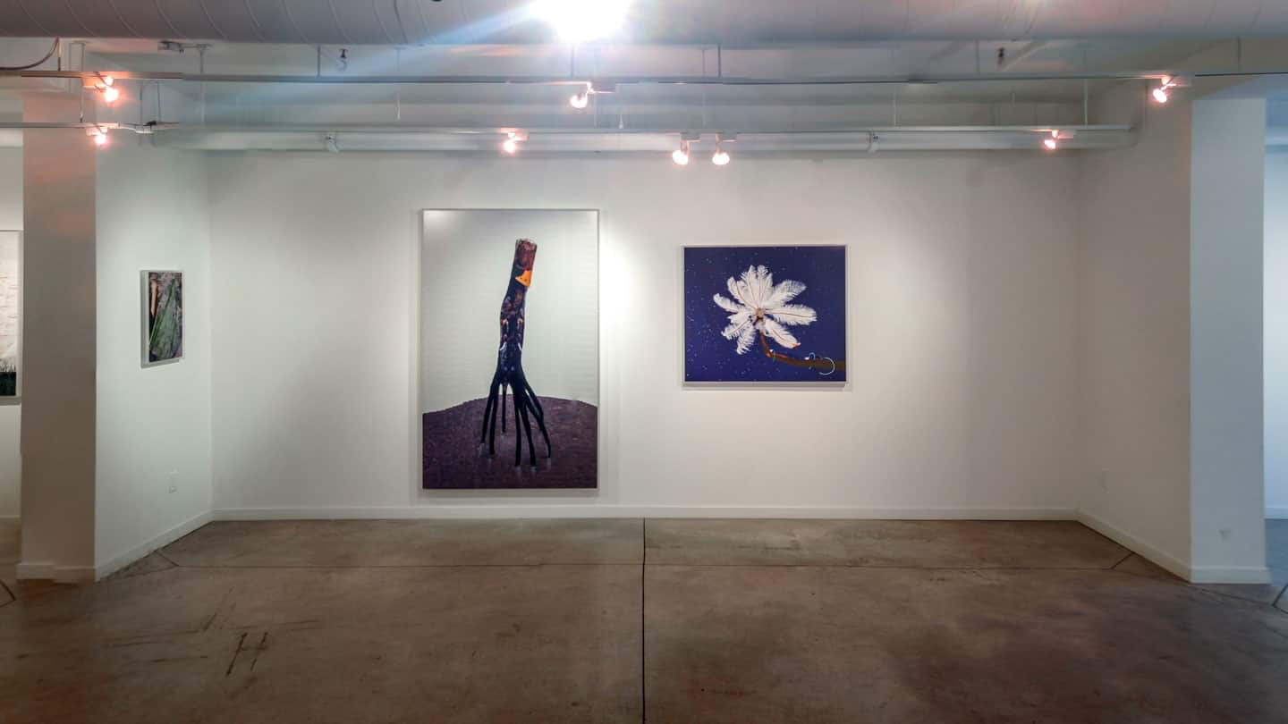 The Collective — o'born contemporary, Toronto, Canada — 2014